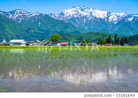 《Niigata Prefecture》Rural scenery of Minami Uonuma and rice fields 《Niigata Prefecture》Rural scenery of Minami Uonuma and rice fields 53161649