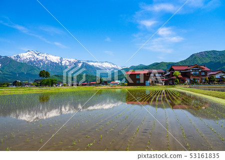 《新潟縣》南魚沼和稻田的田園風光 53161835
