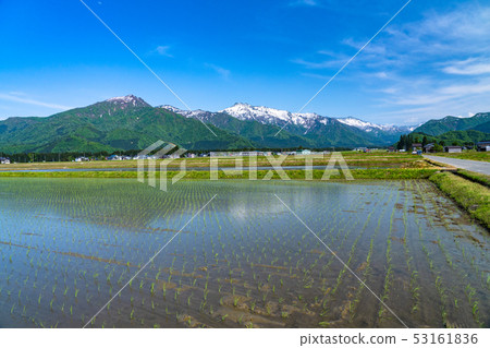 《新潟縣》南魚沼和稻田的田園風光 《新潟縣》南魚沼和稻田的田園風光 53161836