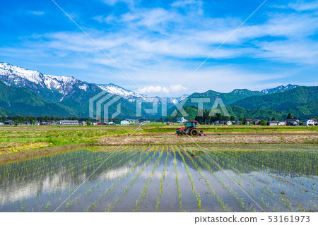 《Niigata Prefecture》Rural scenery of Minami Uonuma and rice fields 53161973