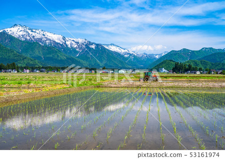 《Niigata Prefecture》Rural scenery of Minami Uonuma and rice fields 53161974