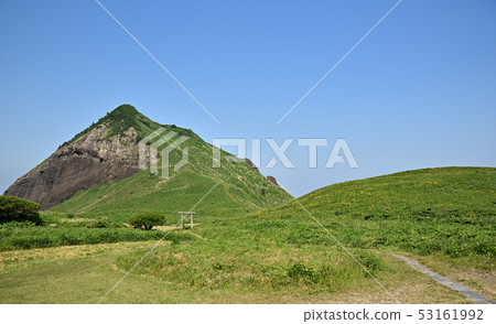 大野龜 大野龜 53161992