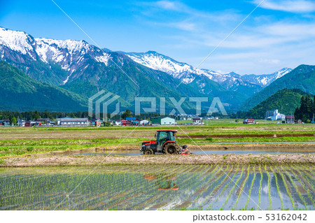 《Niigata Prefecture》Rural scenery of Minami Uonuma and rice fields 53162042