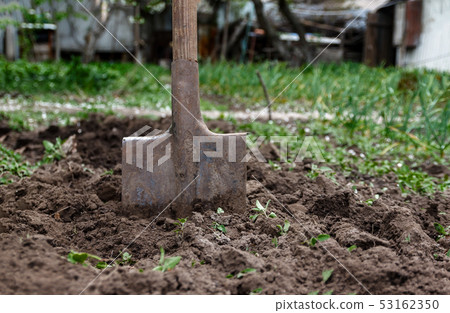 A woman's hand digs soil and soil with a shovel. 53162350