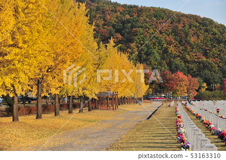 National Scenic Area National Scenic Area 53163310