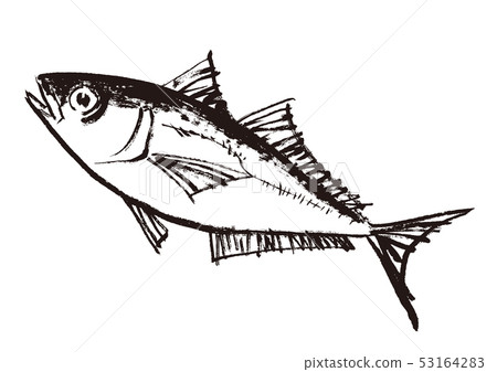 Horse mackerel horse mackerel watercolor - Stock Illustration [53164283 ...