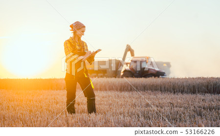Farmer woman and combine harvester on wheat field Farmer woman and combine harvester on wheat field 53166226