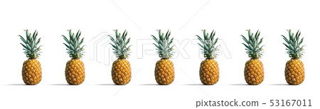 Pineapples on a solid color background Pineapples on a solid color background 53167011