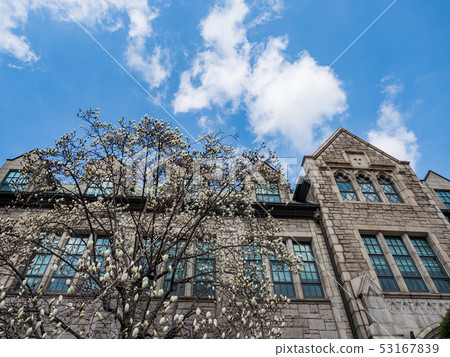 Ewha Womans University facade Ewha Womans University facade 53167839