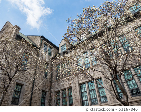 Ewha Womans University facade Ewha Womans University facade 53167840
