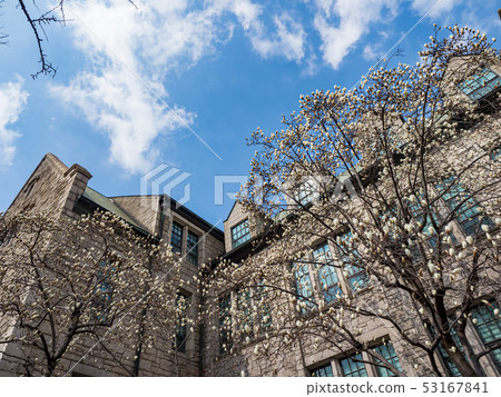 Ewha Womans University facade Ewha Womans University facade 53167841