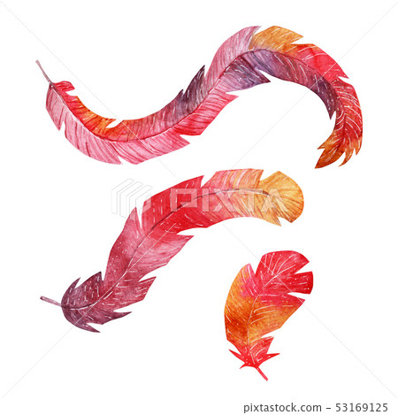 Watercolor feather set - Stock Illustration [53169125] - PIXTA