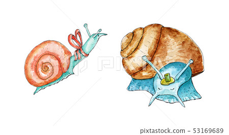 Set of snails Set of snails 53169689