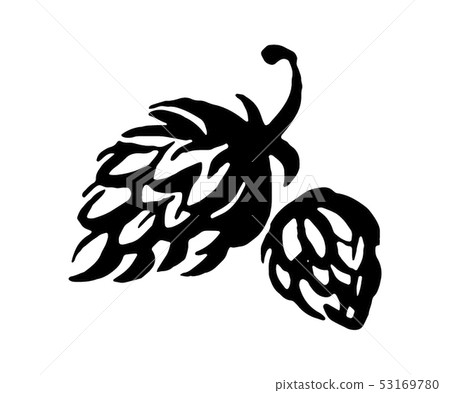 Vector hand drawn Hop emblem icon label logo. Illustration on white background. Vector hand drawn Hop emblem icon label logo. Illustration on white background. 53169780