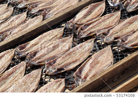 Open horse mackerel sun dried 53174108