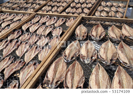 Open horse mackerel sun dried 53174109