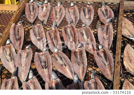 Autumn sword fish open sun dried 53174110