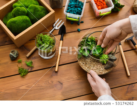 Home gardening concept Home gardening concept 53174262