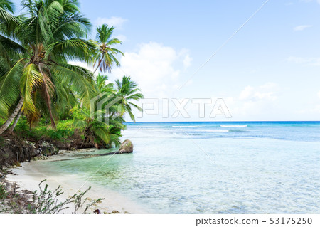 White sandy beach with sea and palms 53175250