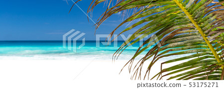 Perfect caribbean beach Perfect caribbean beach 53175271