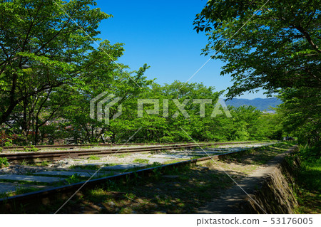 年輕葉子和新鮮的綠色踢傾斜 53176005