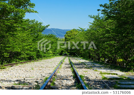 Young leaves and fresh green kicking Incline Young leaves and fresh green kicking Incline 53176006