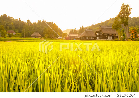 Summer rural landscape (at dusk of Ashinoshima ring village) 53176264
