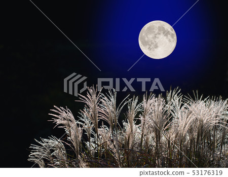 Full Moon and Susuki Full Moon and Susuki 53176319