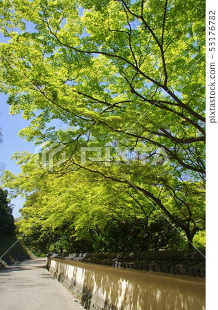 和歌山縣和歌山市和歌山城公園 和歌山縣和歌山市和歌山城公園 53176782