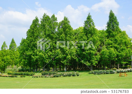 蜻蜓公園大阪府 53176783