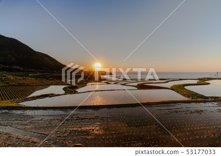 Rice terrace evening landscape Rice terrace evening landscape 53177033