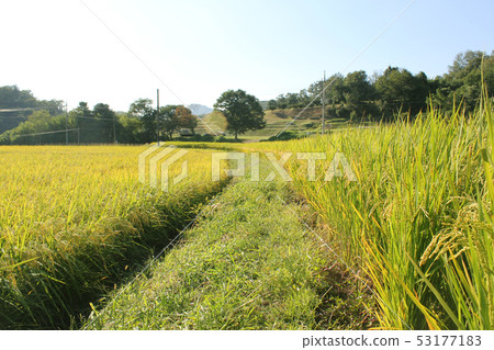 鄉村 鄉村 53177183