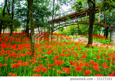 Hidaka City, Saitama Pref. Tsuchida Susumu Suka's Cluster and Ai Bridge 53177201