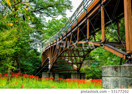 Hidaka City, Saitama Pref. Tsuchida Susumu Suka's Cluster and Ai Bridge Hidaka City, Saitama Pref. Tsuchida Susumu Suka's Cluster and Ai Bridge 53177202