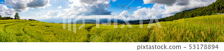 the terraced golden rice field with sky. the terraced golden rice field with sky. 53178894