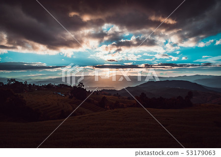 the terraced golden rice field with sky. 53179063