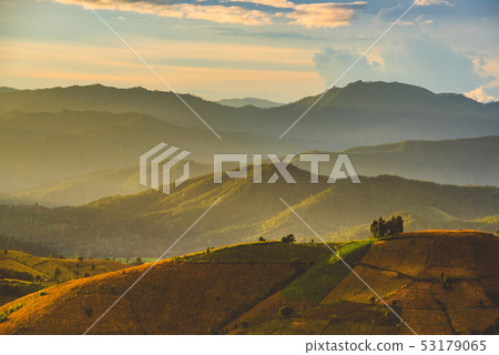 the terraced golden rice field with sky. the terraced golden rice field with sky. 53179065