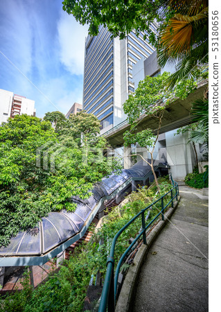 Old campus of Hong Kong University Old campus of Hong Kong University 53180656