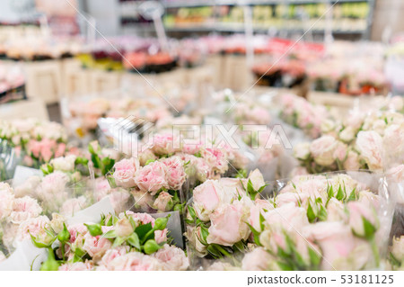 Warehouse refrigerator, Wholesale flowers for flower shops. Pink roses in a plastic container or Warehouse refrigerator, Wholesale flowers for flower shops. Pink roses in a plastic container or 53181125