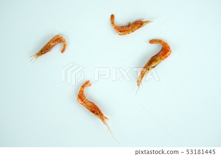 Dried shrimp object 53181445