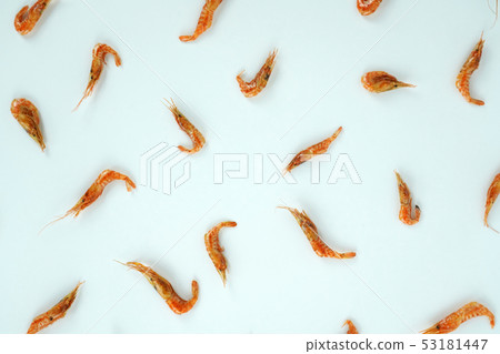 Dried shrimp object 53181447