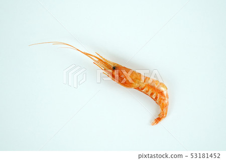 Dried shrimp object 53181452