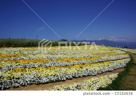 Shinshu Flower Festa 2019 Shinshu Flower Festa 2019 53182638