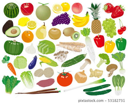 水果和蔬菜的插圖集 53182731