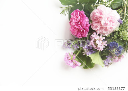 芳香圖像芳香花朵和葉子 芳香圖像芳香花朵和葉子 53182877