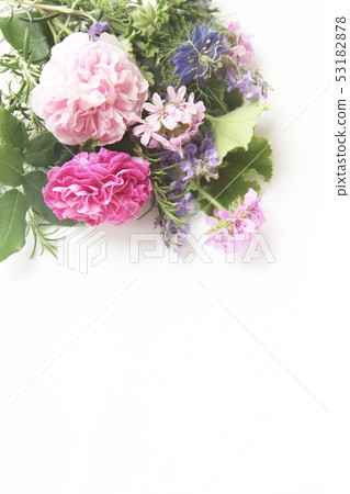 芳香圖像芳香花朵和葉子 芳香圖像芳香花朵和葉子 53182878