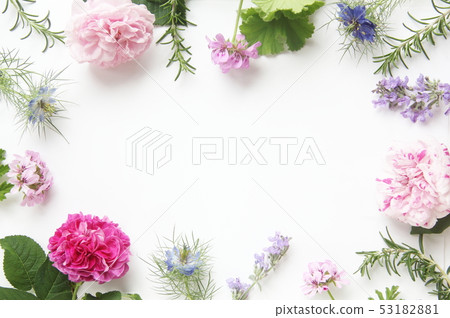 芳香圖像芳香花朵和葉子 芳香圖像芳香花朵和葉子 53182881