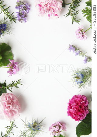 芳香圖像芳香花朵和葉子 芳香圖像芳香花朵和葉子 53182882