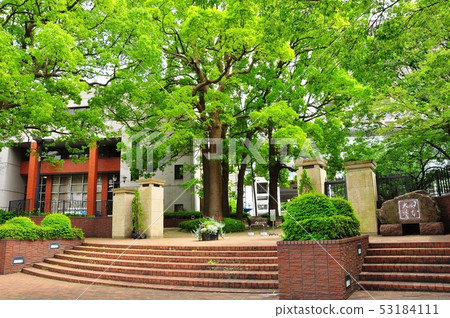 神奈川縣藤澤市，日本大學生物資源學部正門和新鮮綠 53184111