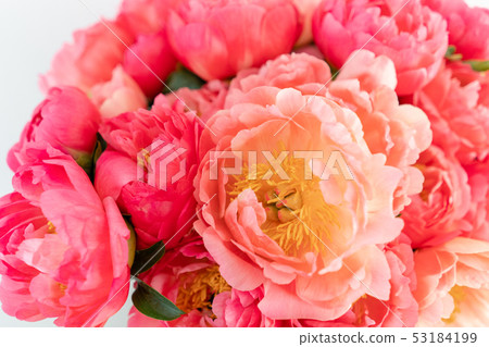 Coral peonies in a glass vase on wooden table.. Beautiful peony flower for catalog or online store Coral peonies in a glass vase on wooden table.. Beautiful peony flower for catalog or online store 53184199
